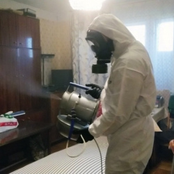 Дезинфекция от клопов в Лысьве