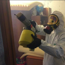 Уничтожение клопов в квартире. Лысьва